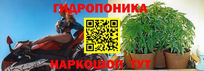 PSILOCYBIN Можайск