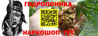 таблы Можга