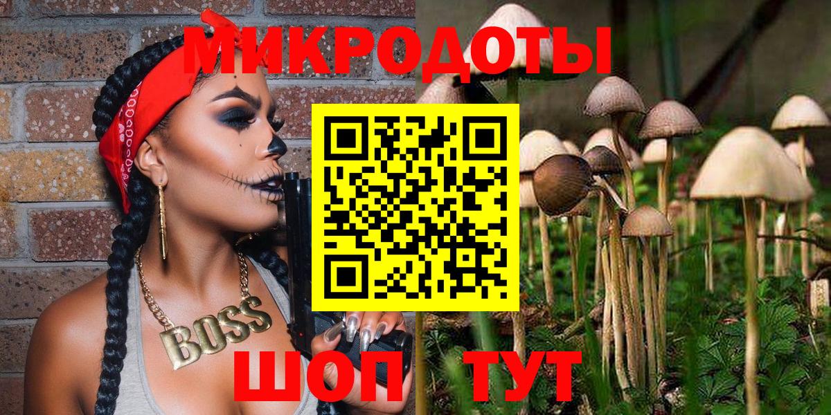 Галлюциногенные грибы Psilocybine cubensis Бузулук