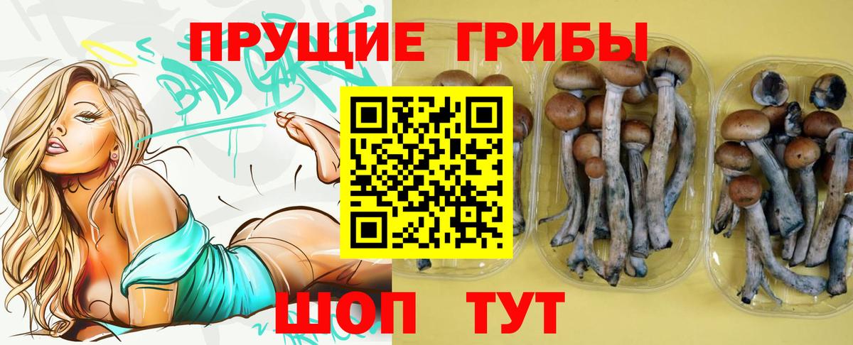 Псилоцибиновые грибы Cubensis  Вход с VPN  магазин продажи   Бузулук 